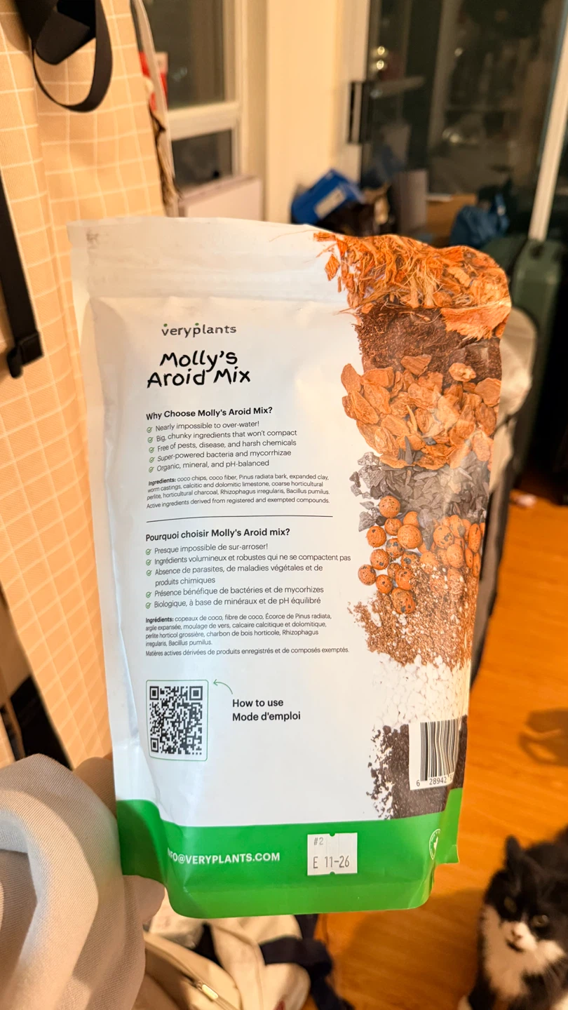 VeryPlants Molly's Aroid Mix 3.3L - photo 2