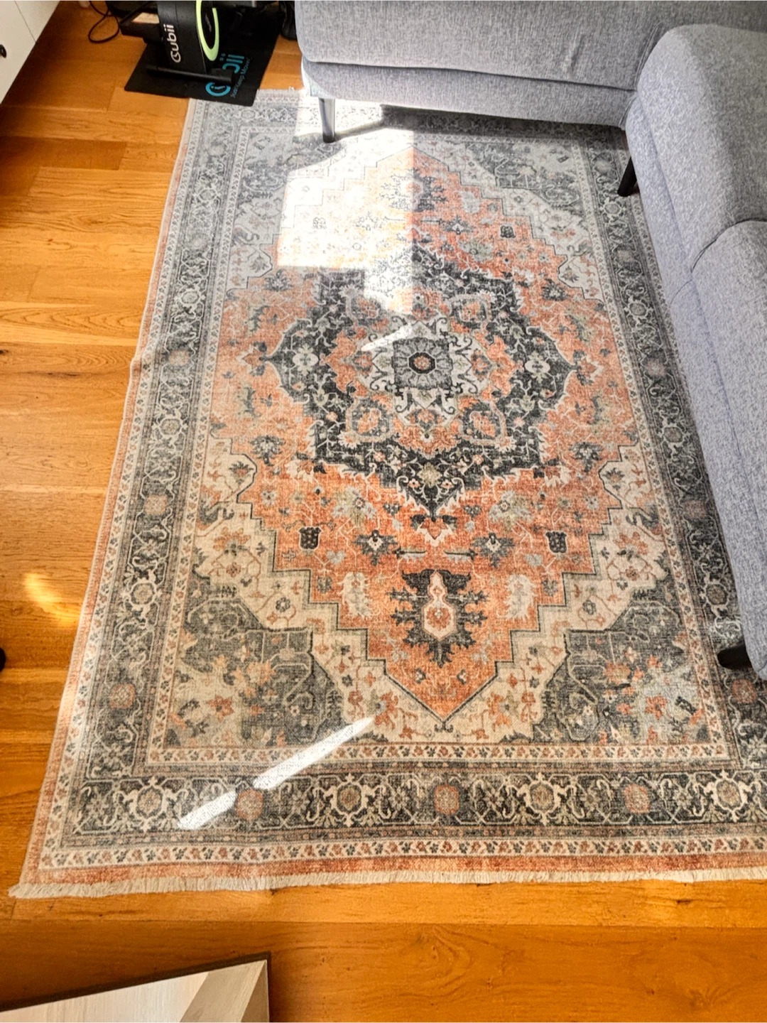 Traditional Medallion Area Rug