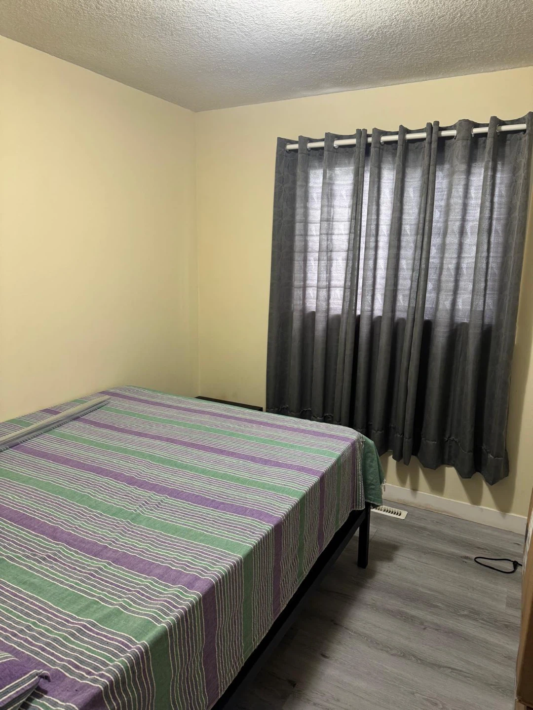 Spacious & Bright 3-Bedroom Main Floor Suite in Falconridge - photo 4