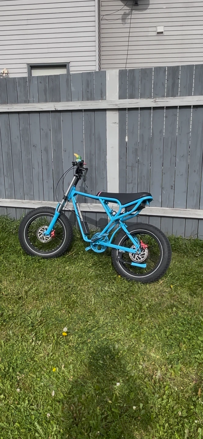 Ridstar q20