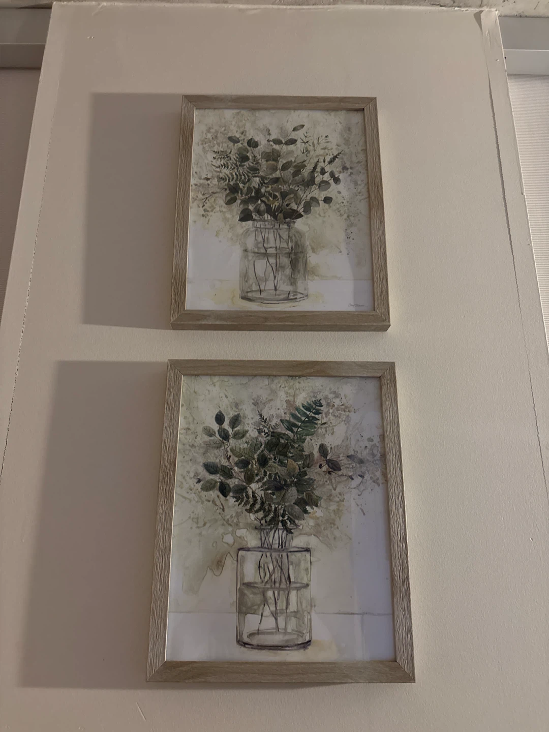 Set of Two Botanical Wall Art Prints