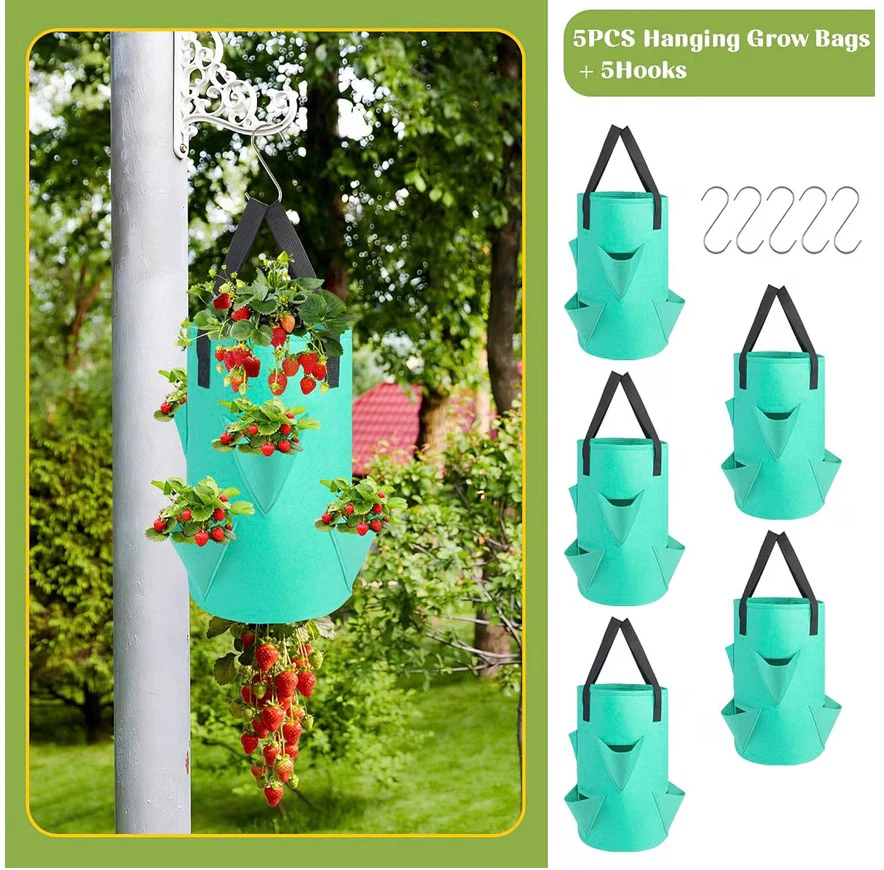 5 Pack Upside Down Strawberry Hanging Planter - photo 4