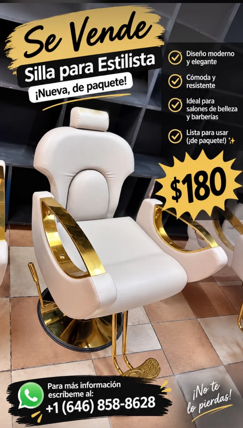 Modern Stylist Salon Chair