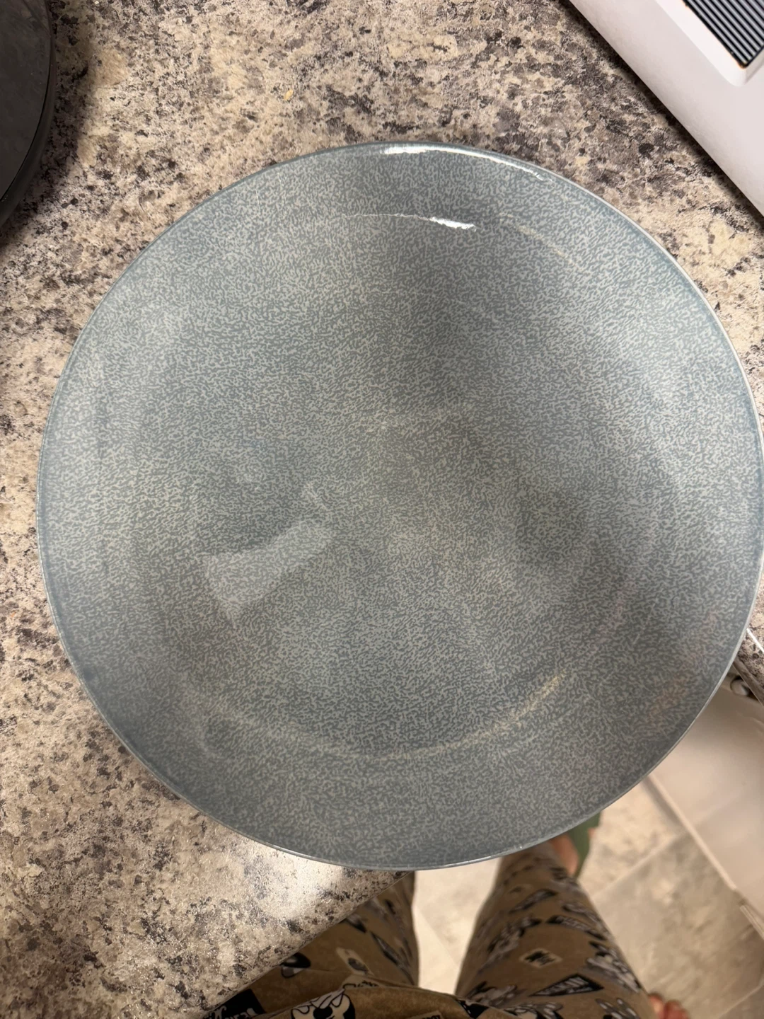 Blue speckled stoneware dinner plate two pieces