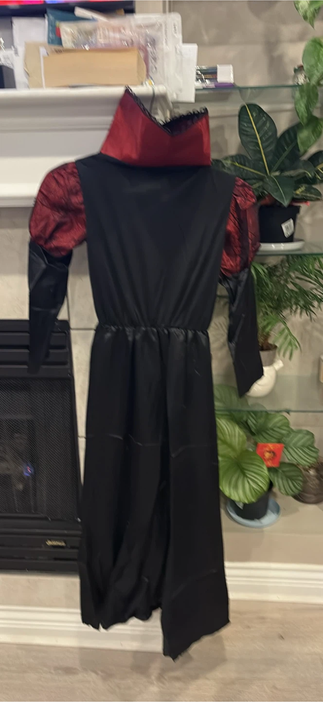 Brand new Deluxe Vampiress Costume - photo 5