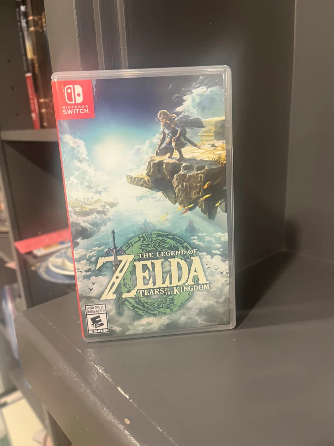 The Legend of Zelda: Tears of the Kingdom (Switch)