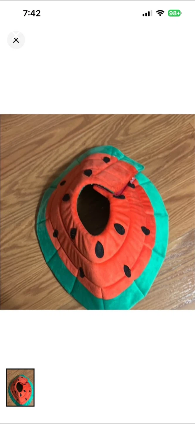 Watermelon Pattern Pet Recovery Cone