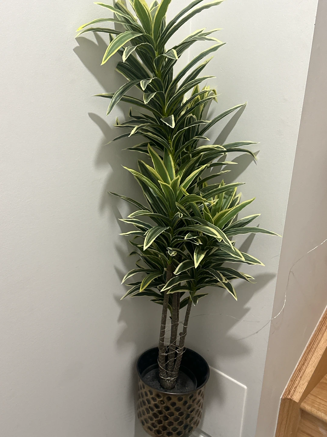 Artificial Dracaena Plant