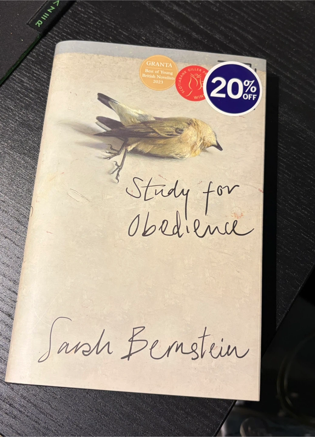 Study for Obedience by Sarah Bernstein