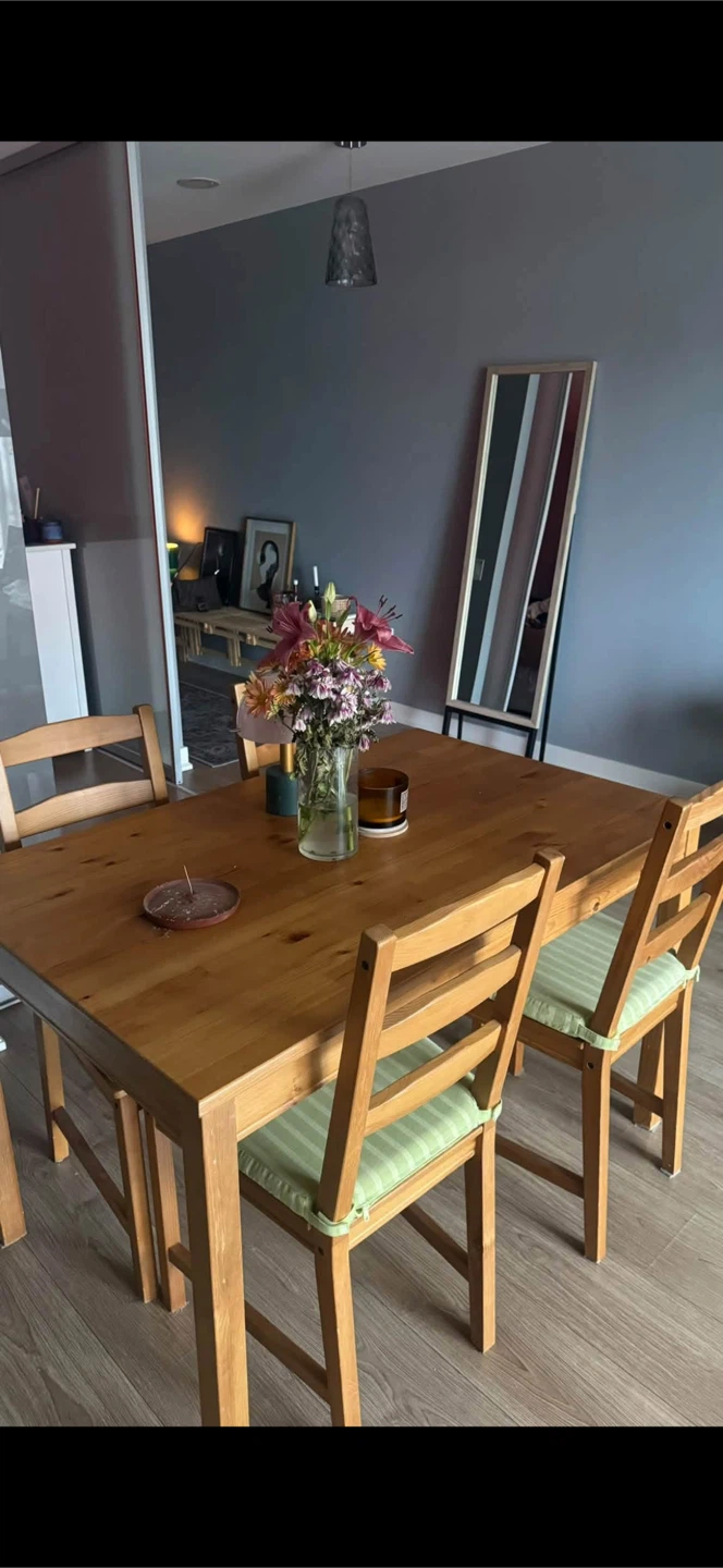 IKEA Jokkmokk Dining Set