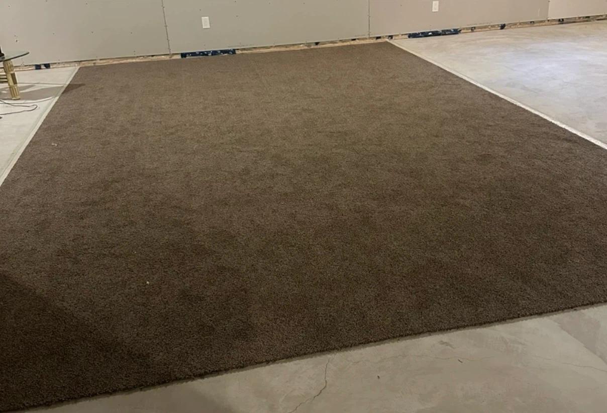 Large Brown Area Rug