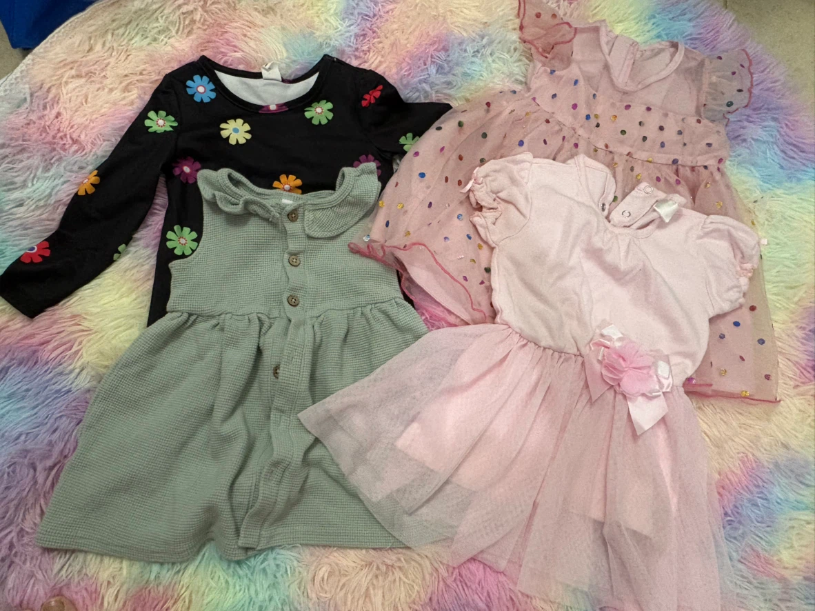Baby Girl Clothing Bundle - Size 6-18M - photo 3