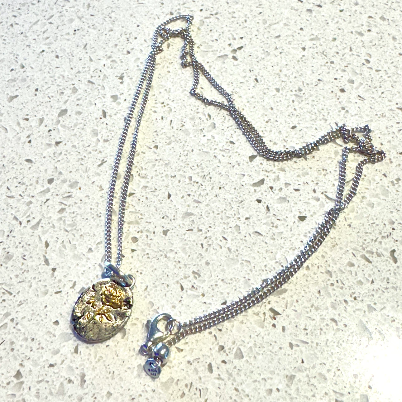 Pandora Rose Medallion Necklace + Sterling Silver Chain - New