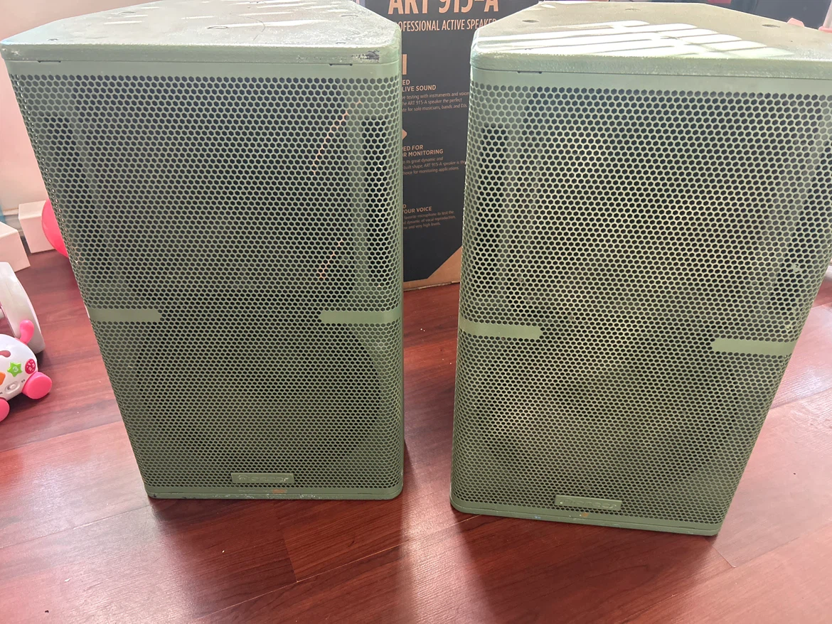 Pair of Pioneer Passive Speakers