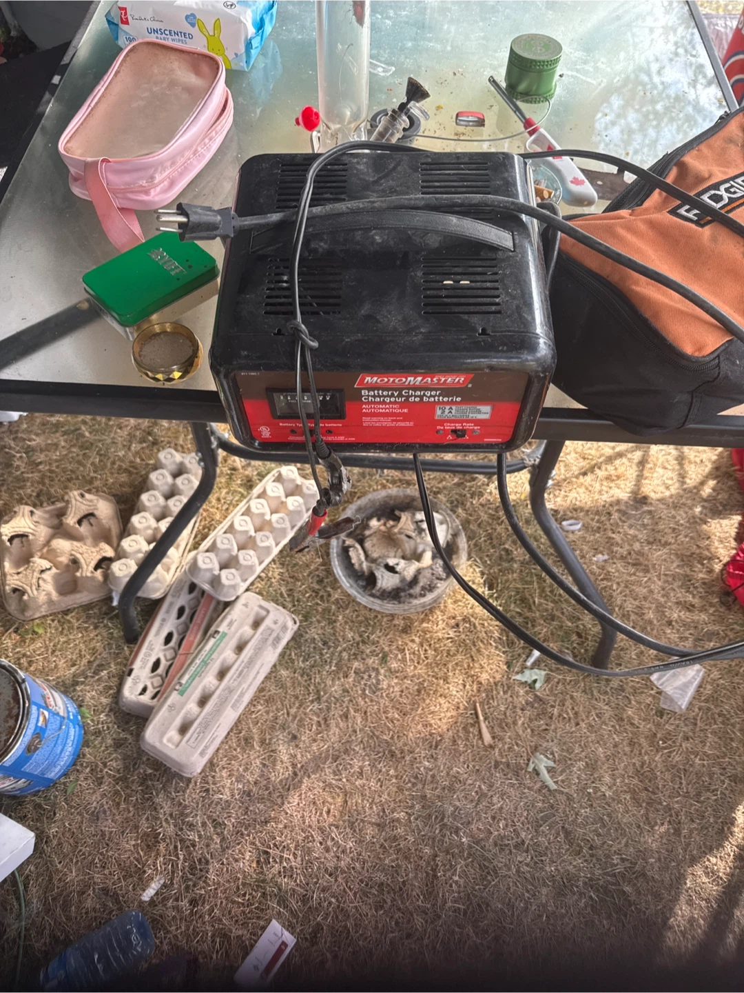 MotoMaster Automatic Battery Charger