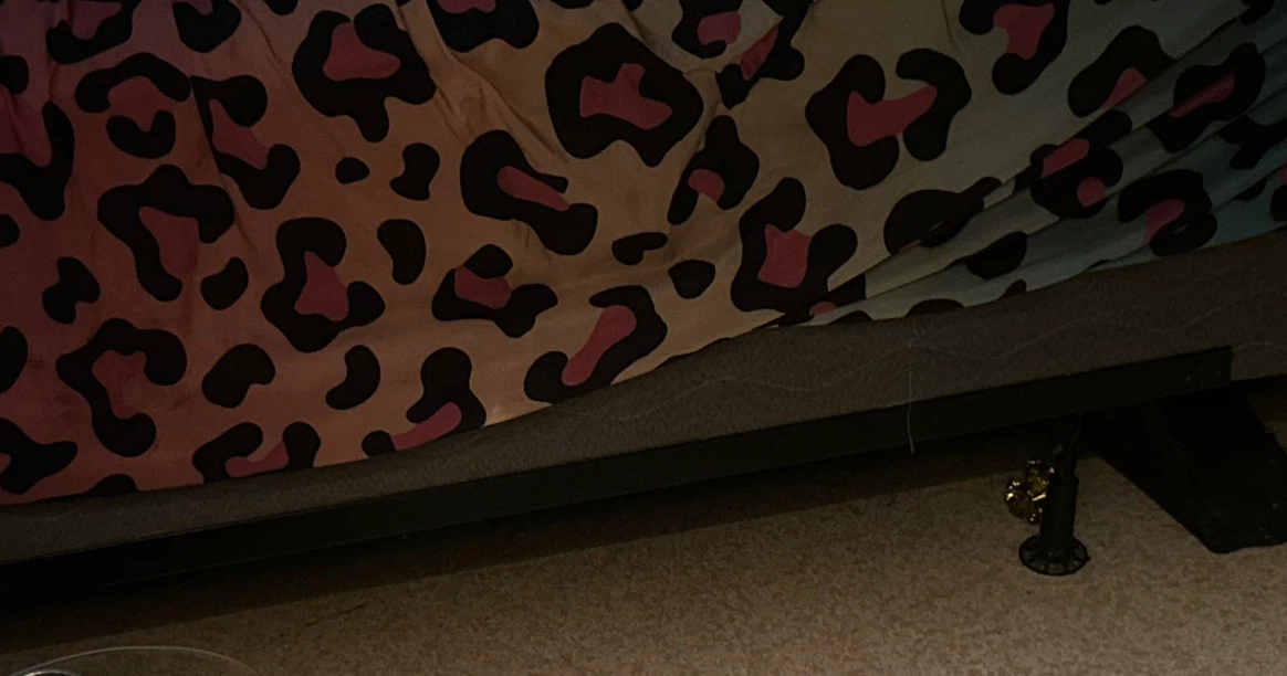 Adjustable Metal Bed Frame 4 legs - photo 2