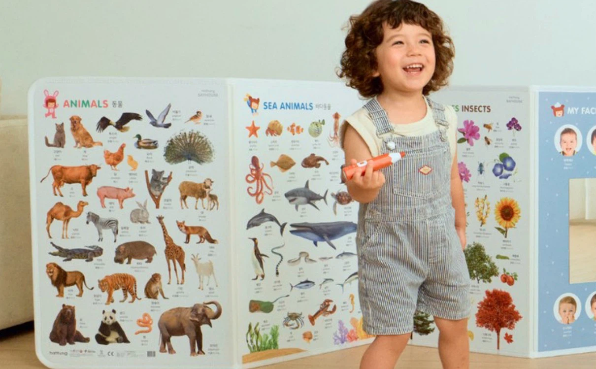 Hattung Educational Play Screen - photo 2