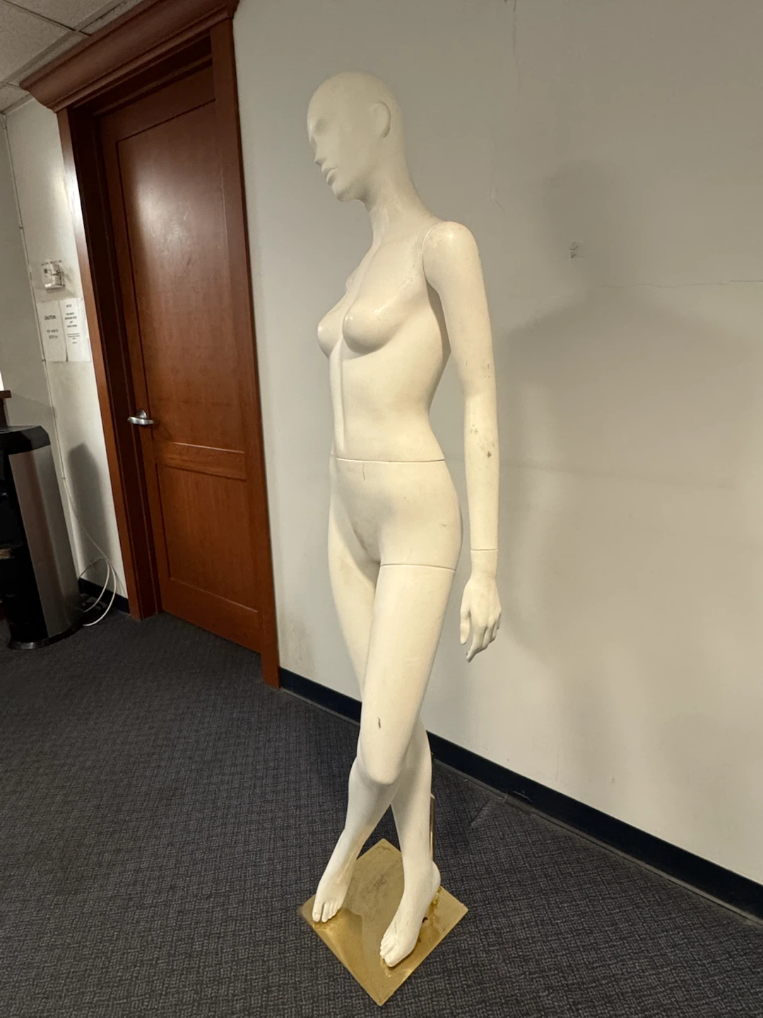Full Body Female Mannequin - photo 3