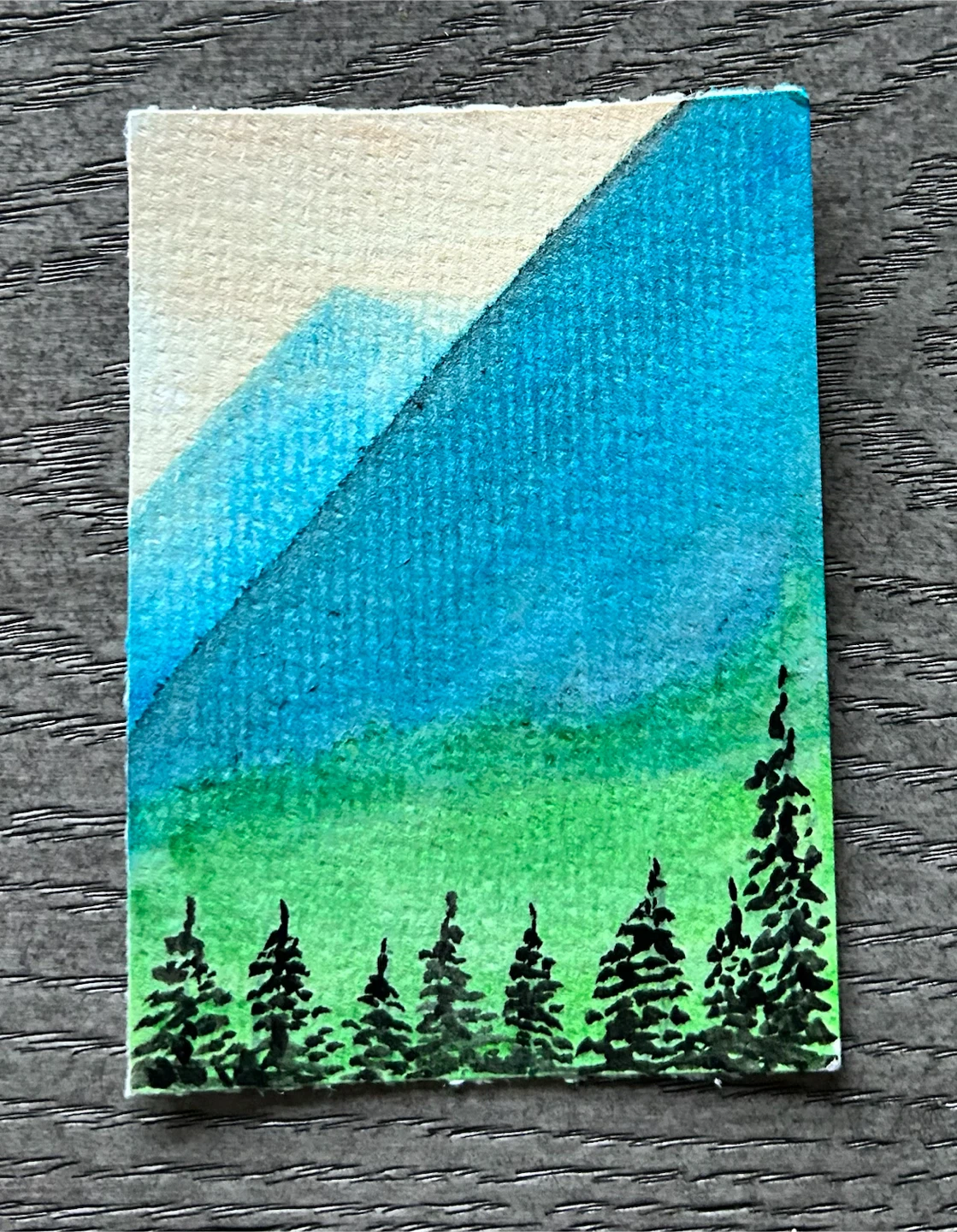 Small Original Watercolor Mountain and Forest Painting - photo 2
