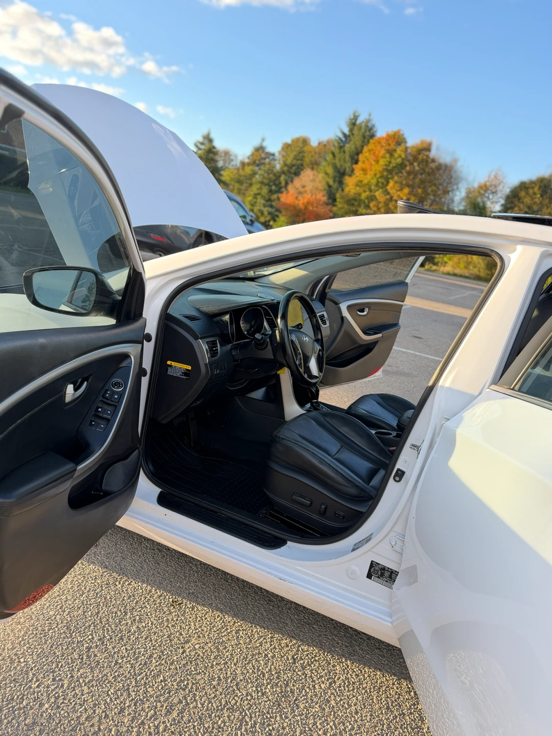 2012 Hyundai Elantra GT WITH SAFETY INCLUDE - photo 4