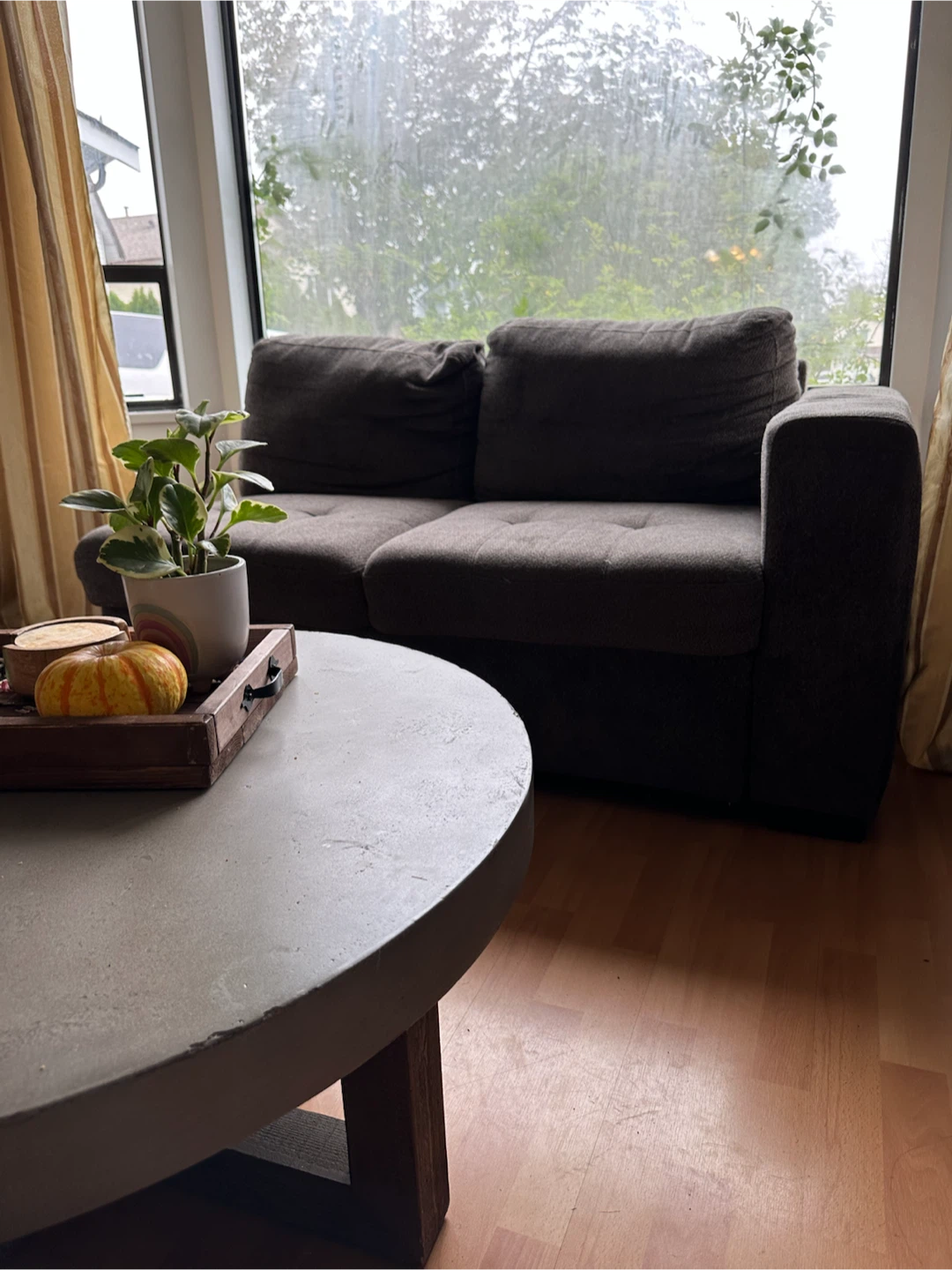 Pull-Out Loveseat Sofa