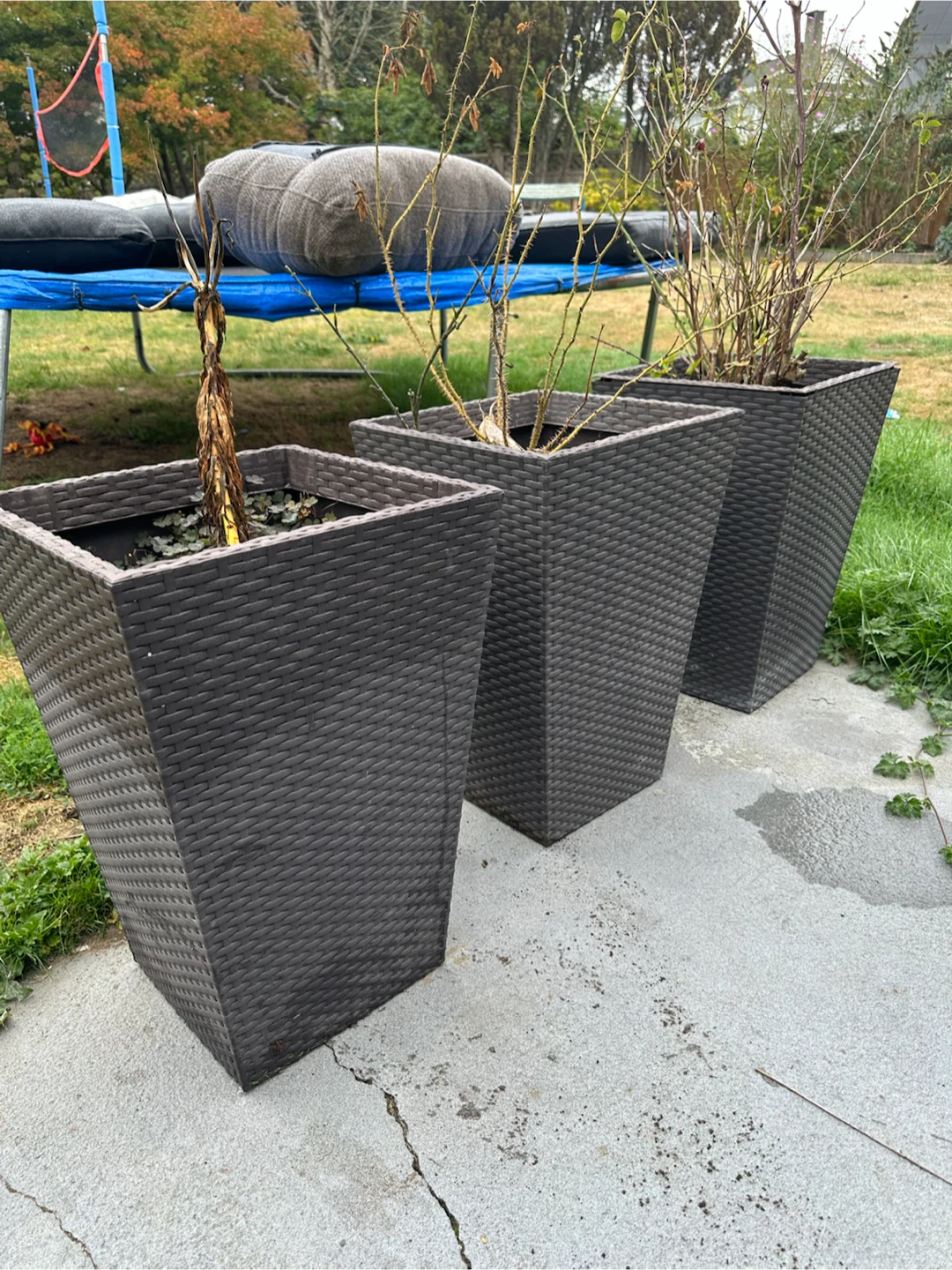 3 Tall Wicker-Look Resin Planters