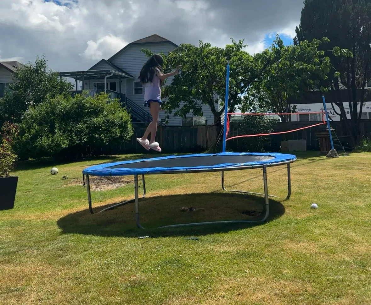 Outdoor Round Backyard Trampoline - photo 2