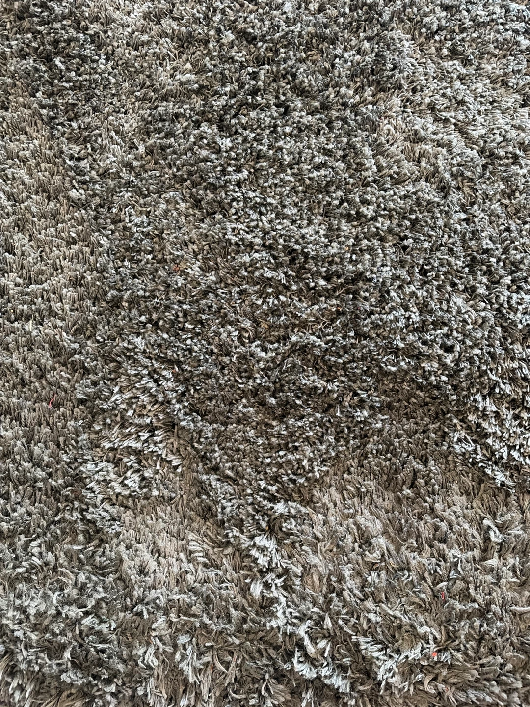 Area Rug - photo 2