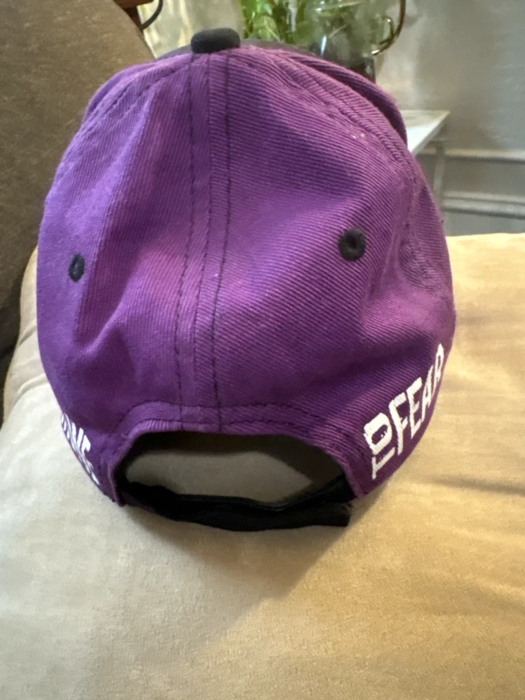 WWE Authentic Jeff Hardy Daredevil Hat - photo 2