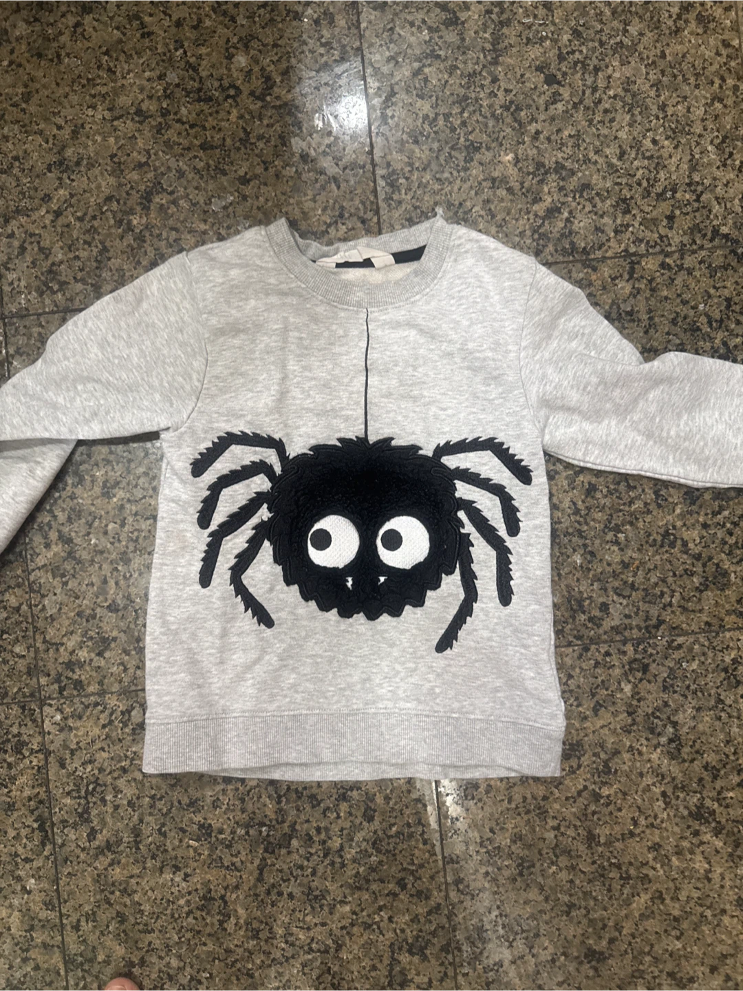 H&M Kids Spider Sweatshirt