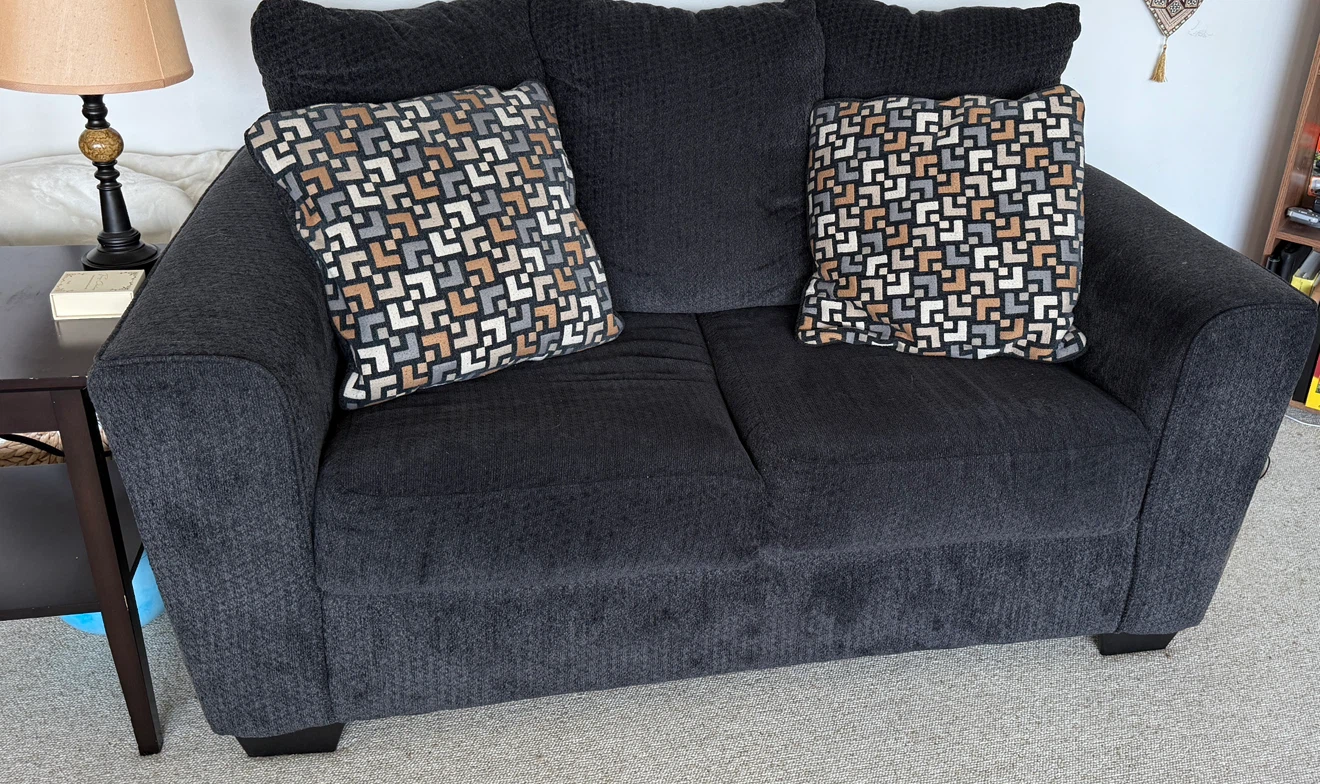 Ashley Wixon Stationary Loveseat - photo 3