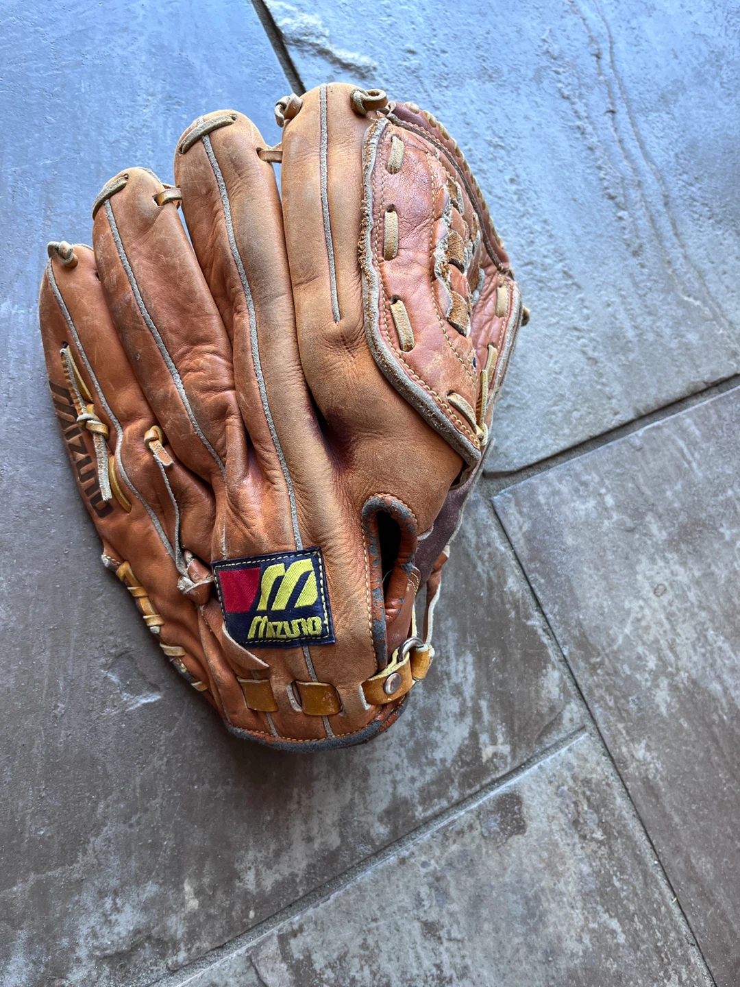 Mizuno Professional Model Baseball Glove