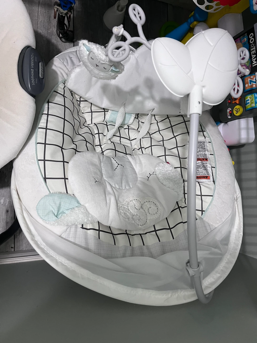 Fisher price bouncer