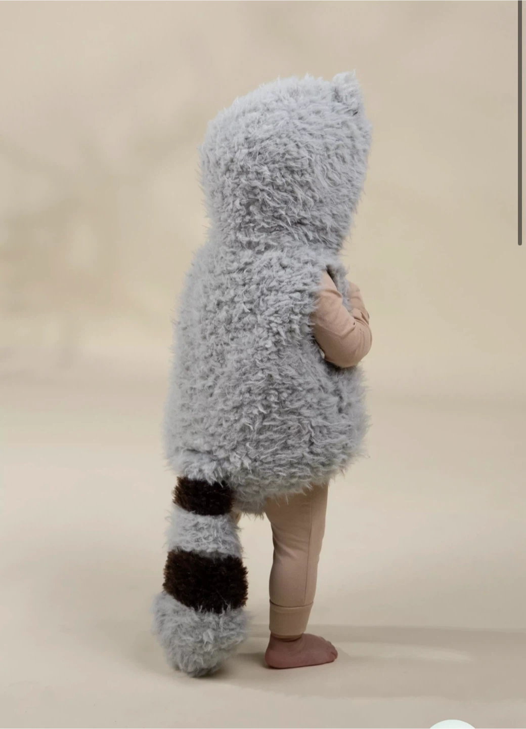 Coco Village Raccoon Costume - photo 2