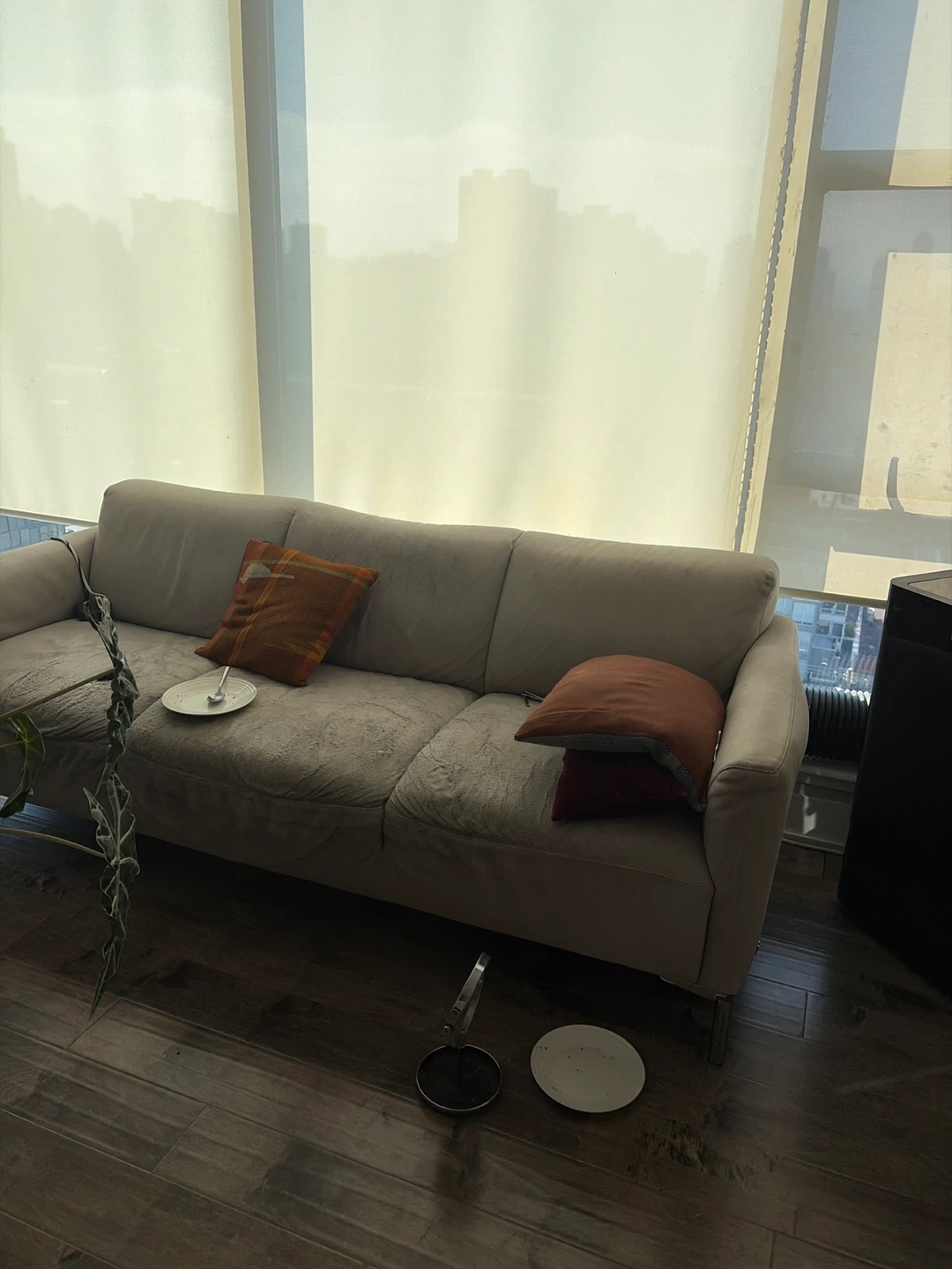 natuzzi couch - free- pick up only