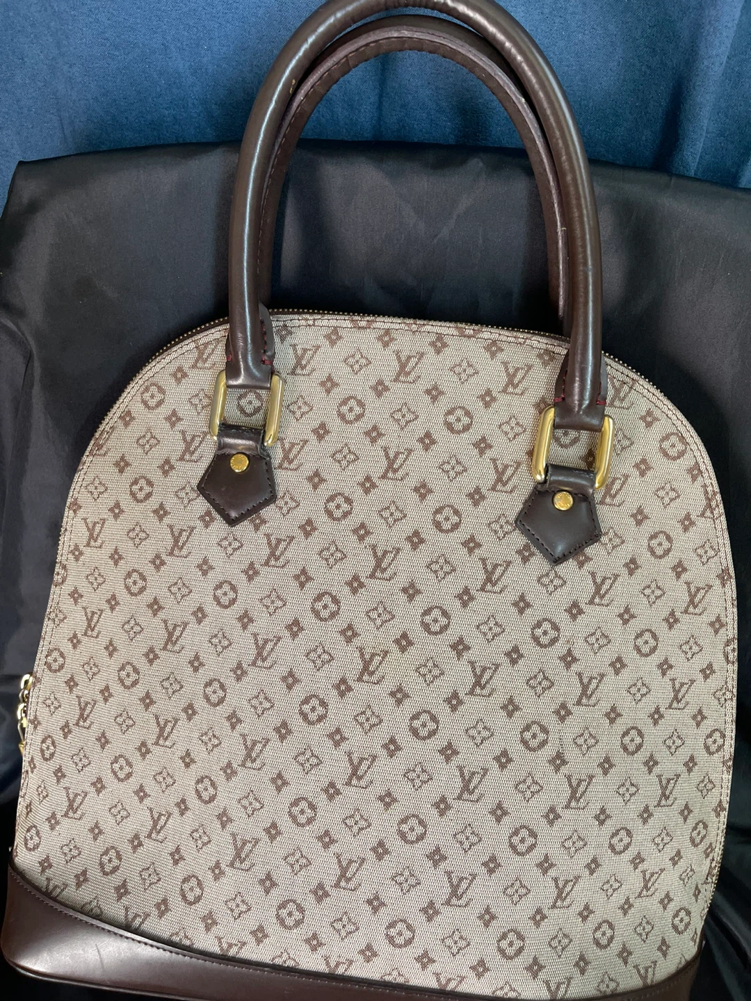 Louis Vuitton Monogram Mini Lin Handbag