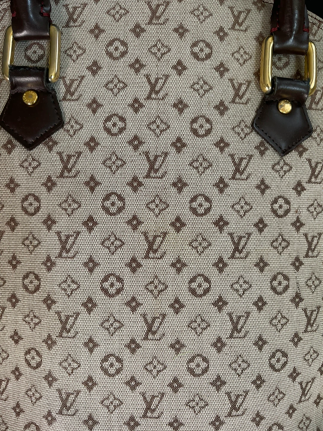 Louis Vuitton Monogram Mini Lin Handbag - photo 3