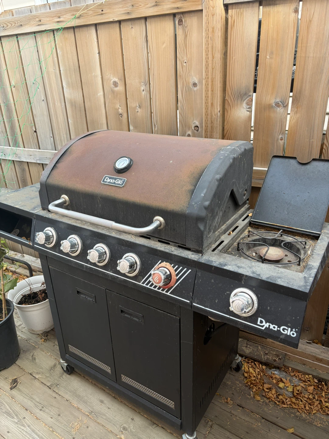 Bbq