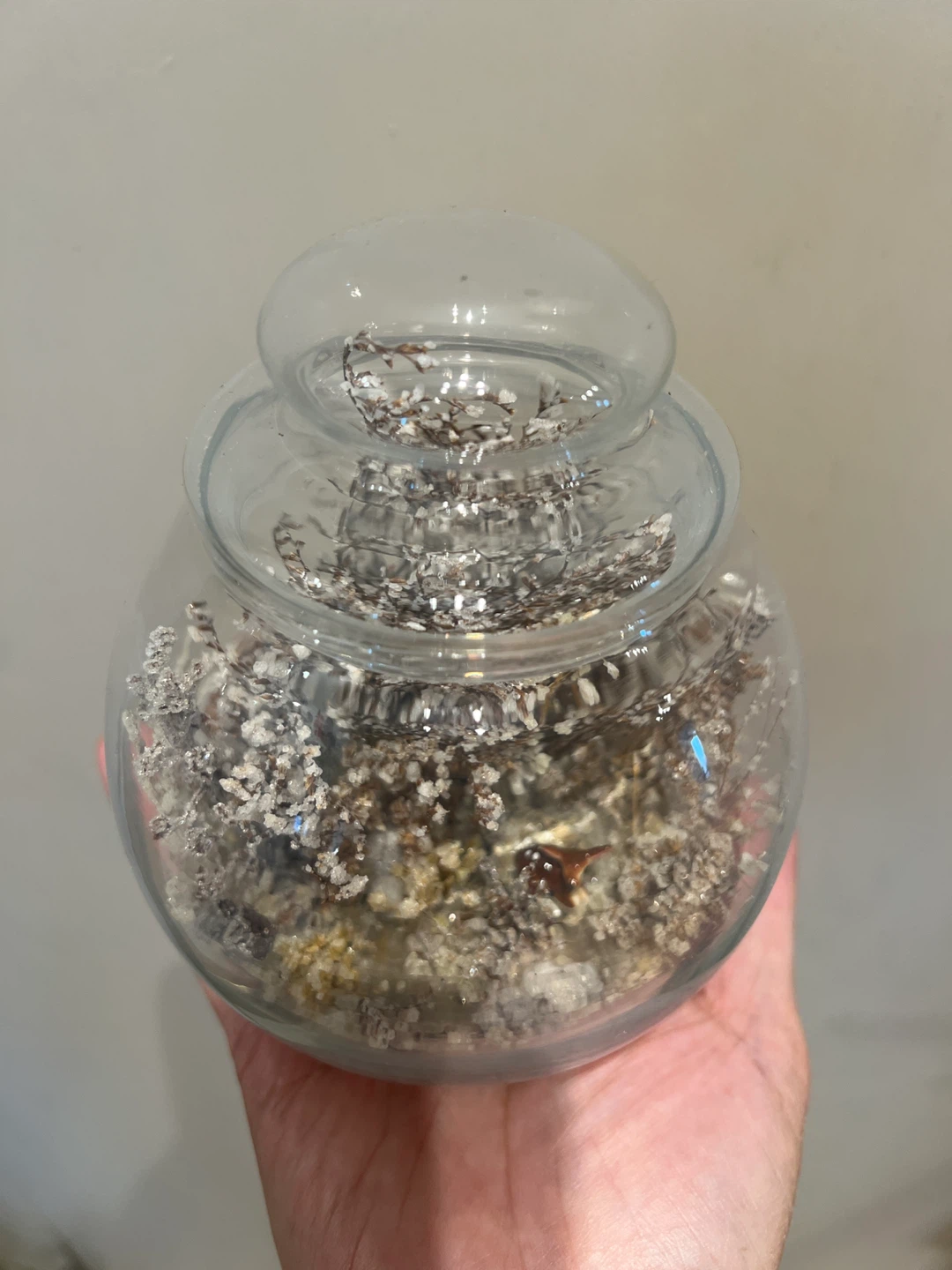 Miniature Deer Glass Terrarium - photo 4