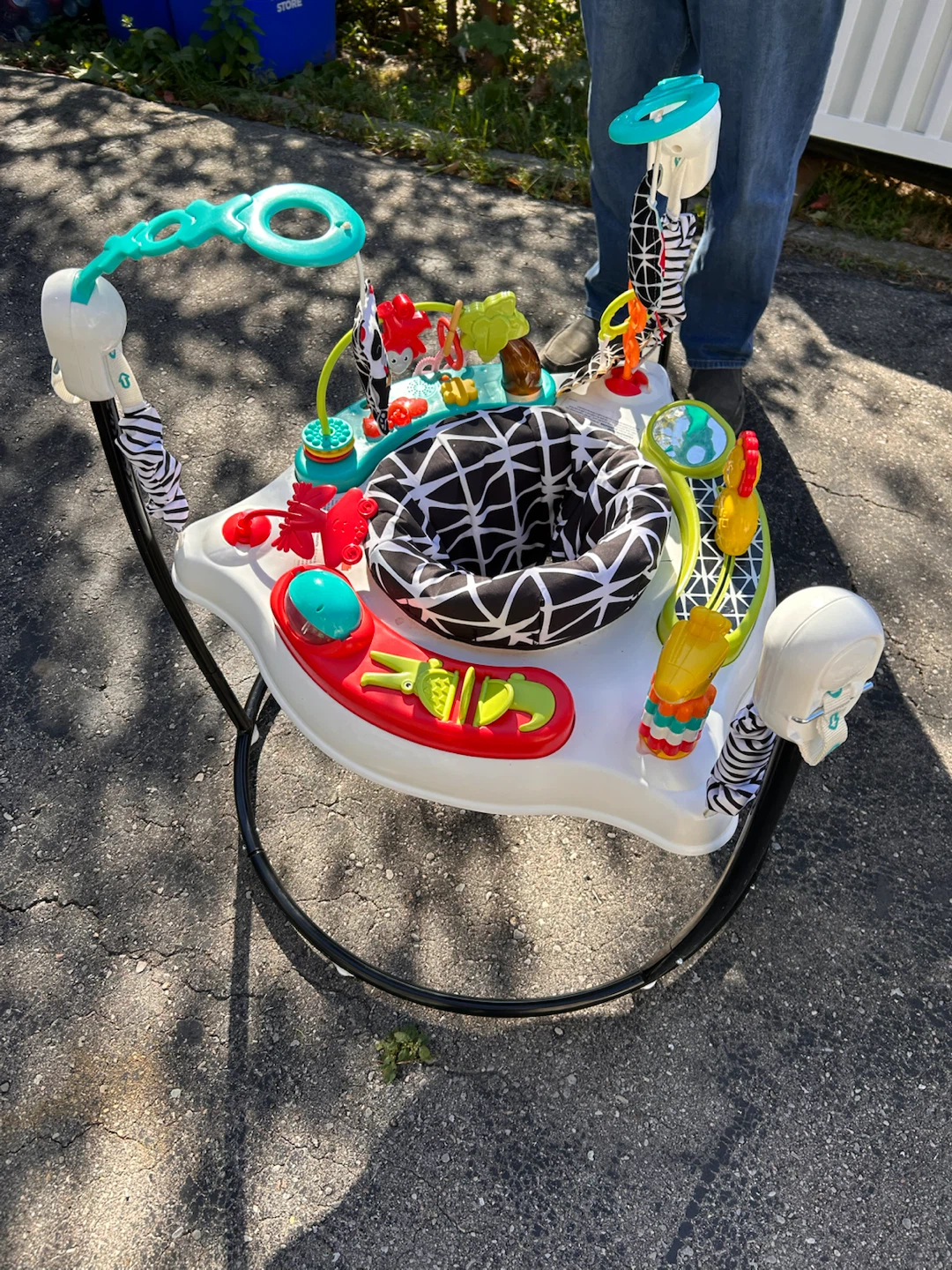 Baby Einstein Activity Jumper - photo 2