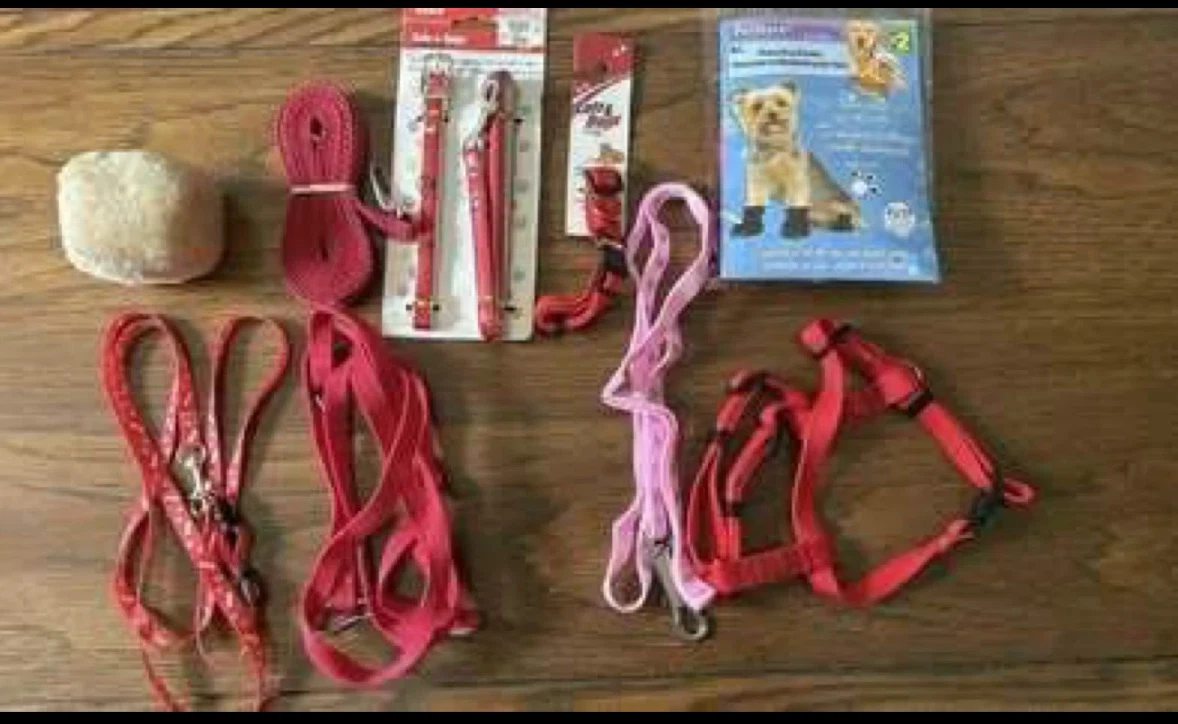 Dog leashes, collars, etc (All new) (All FREE)