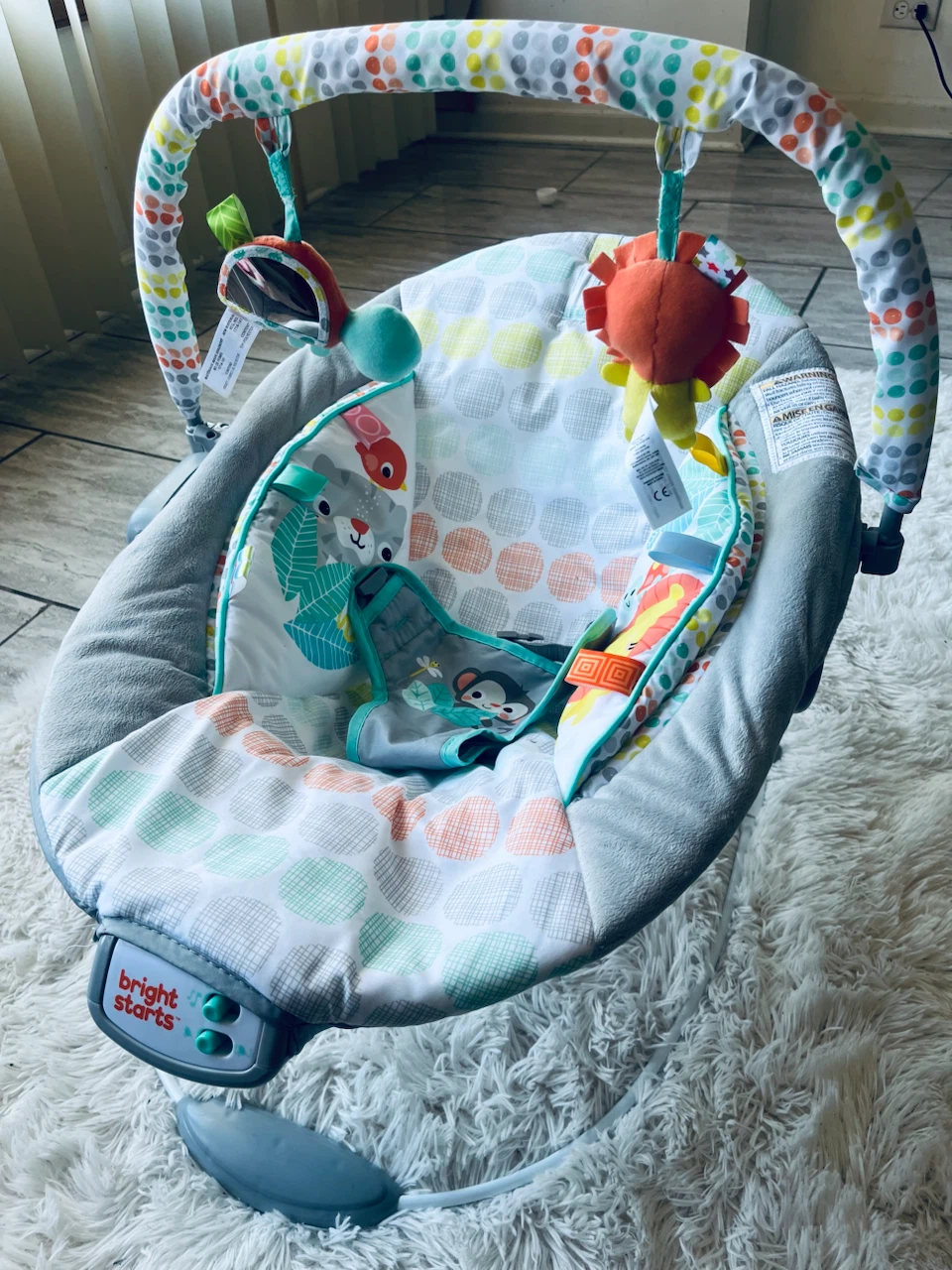 Bright Starts Baby Bouncer