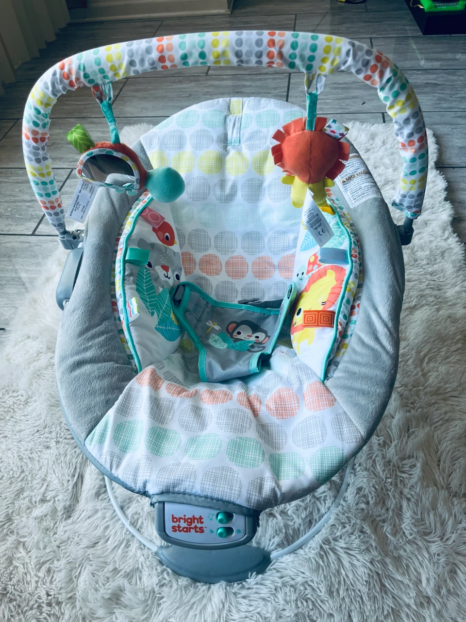 Bright Starts Baby Bouncer - photo 2