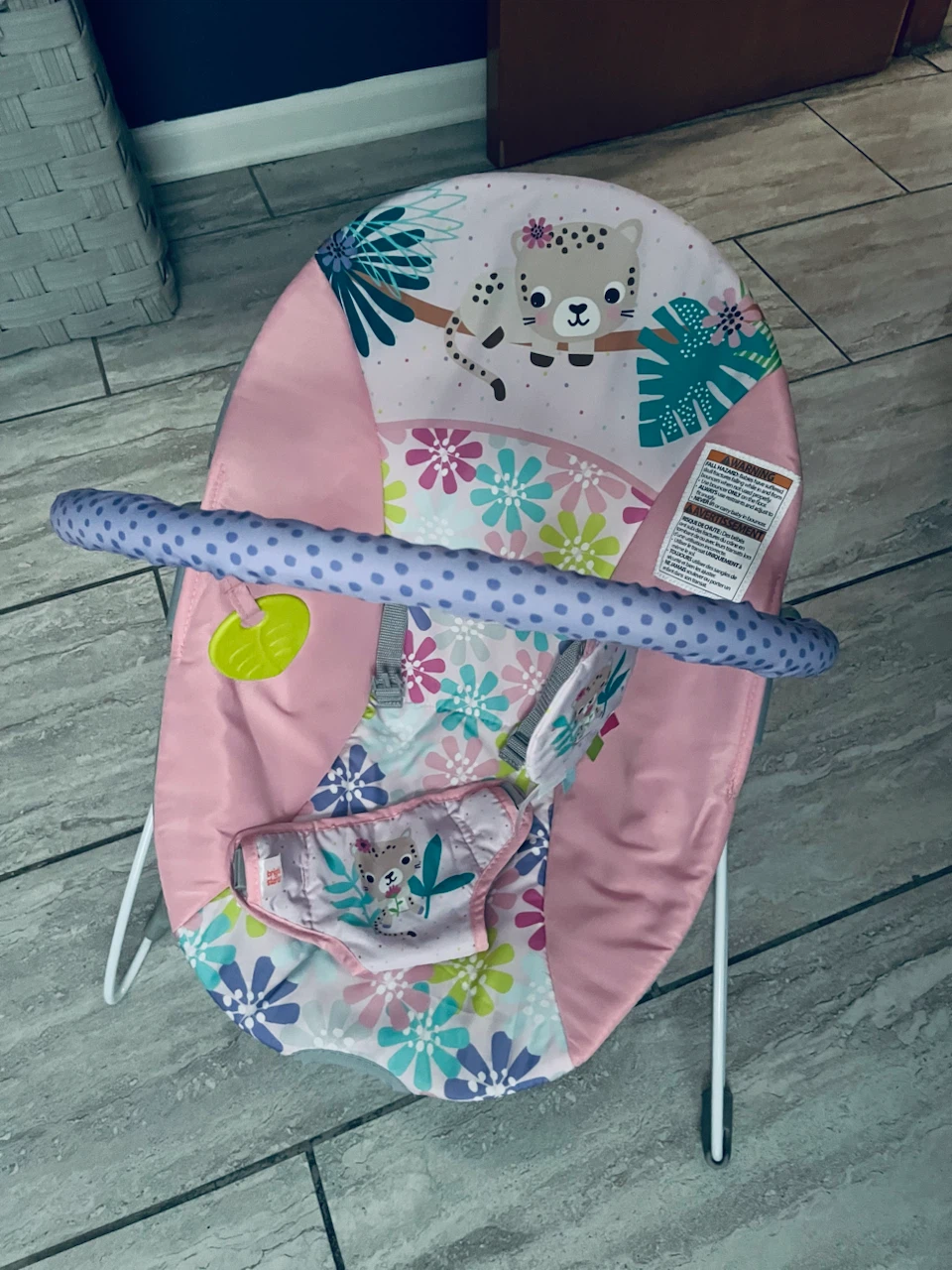 Bright Starts Baby Bouncer