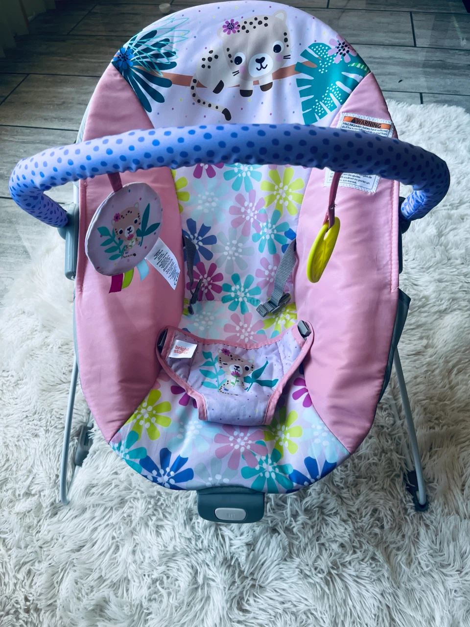 Bright Starts Baby Bouncer - photo 2