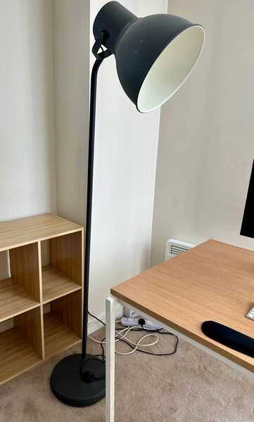 Black floor lamp