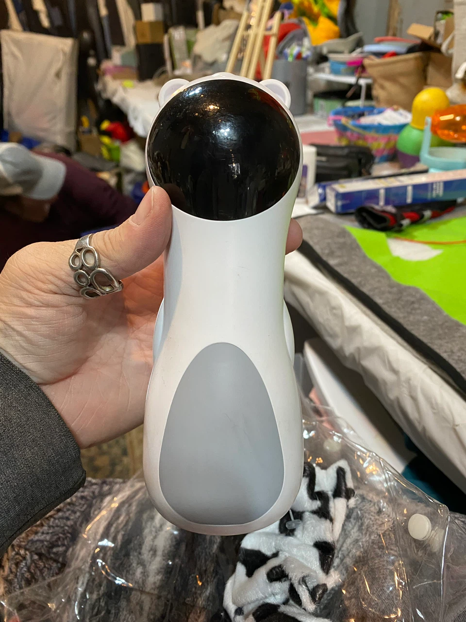 Laser, cat interactive toy