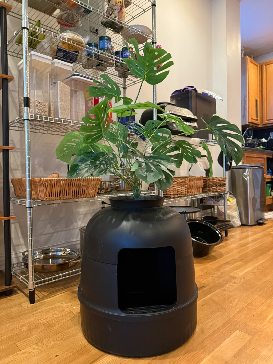 Black Enclosed Cat Litter Box - photo 2