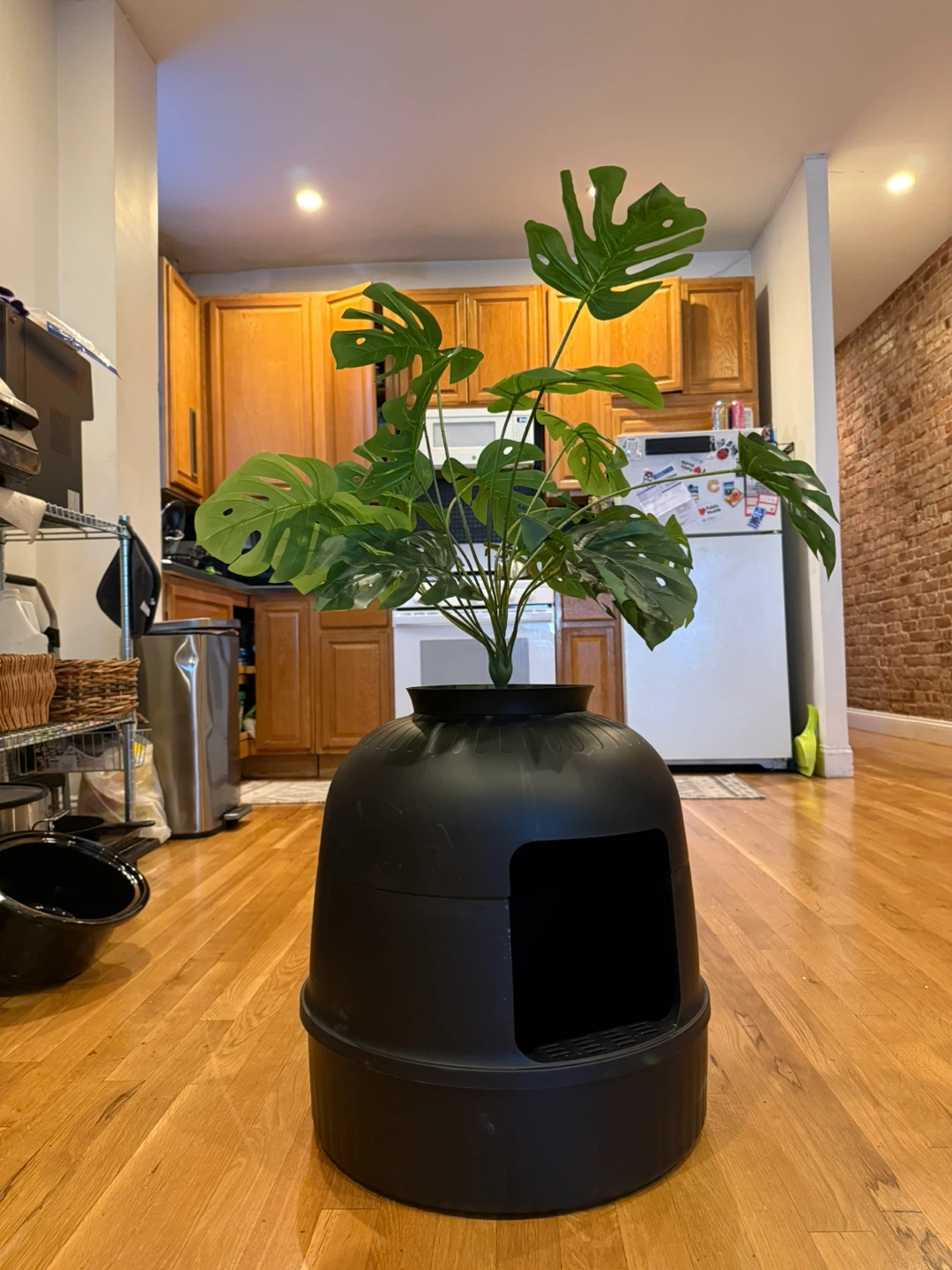 Black Enclosed Cat Litter Box - photo 3