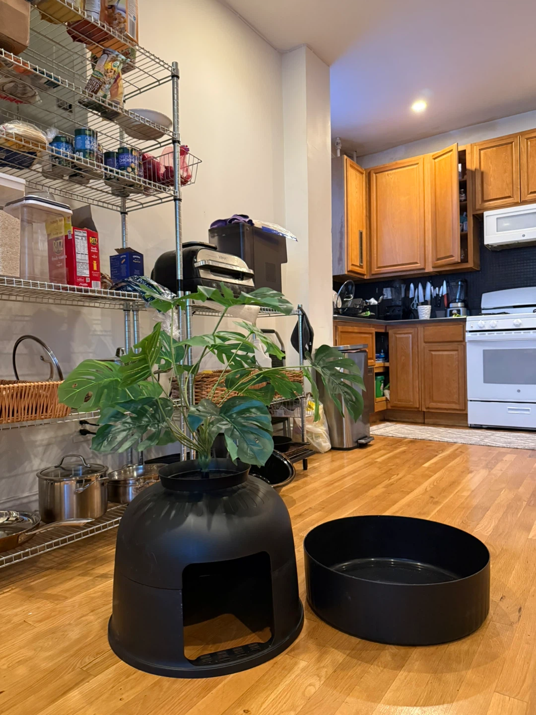 Black Enclosed Cat Litter Box - photo 4